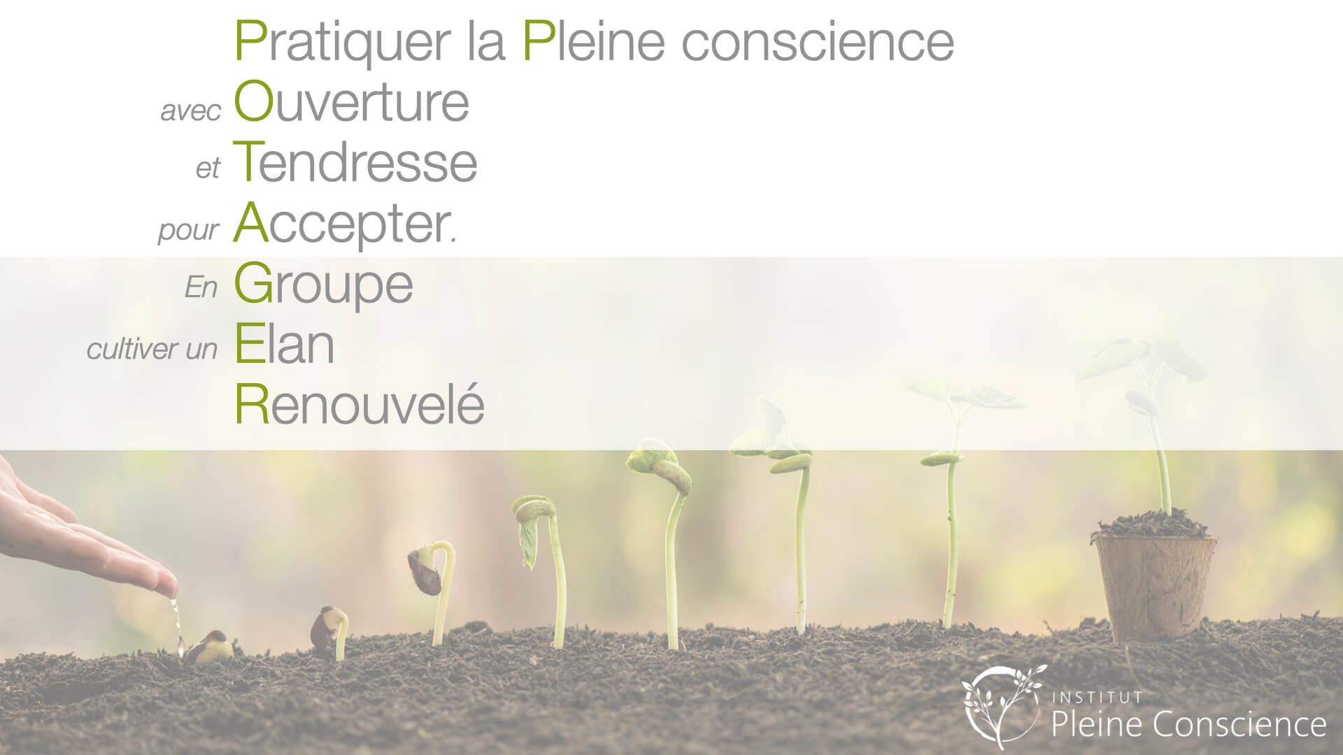 Ipc potager printemps 2021