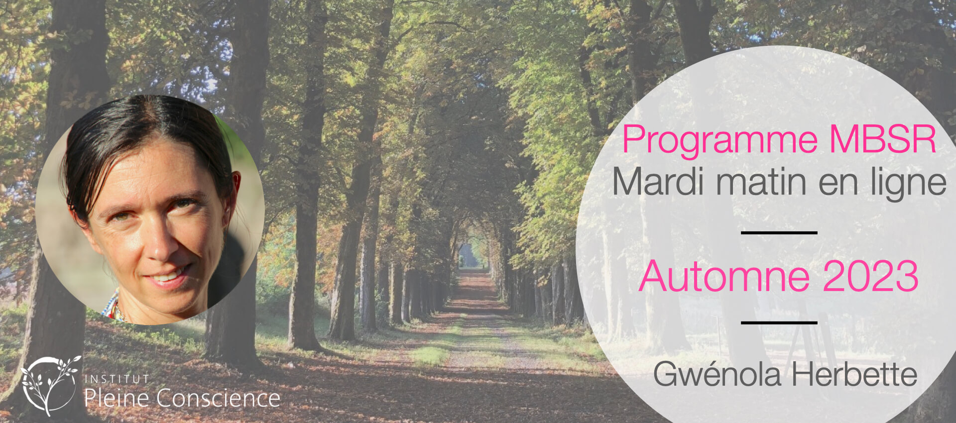 Ipc mbsr automne 2023 en ligne